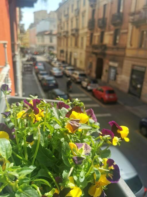 Appartement Mini Sarpi
